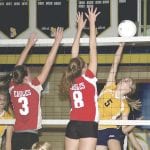 article image -